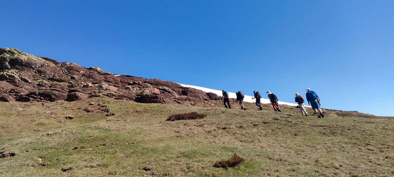 WhatsApp Image 2026-04-08 at 07.40.51 (8)